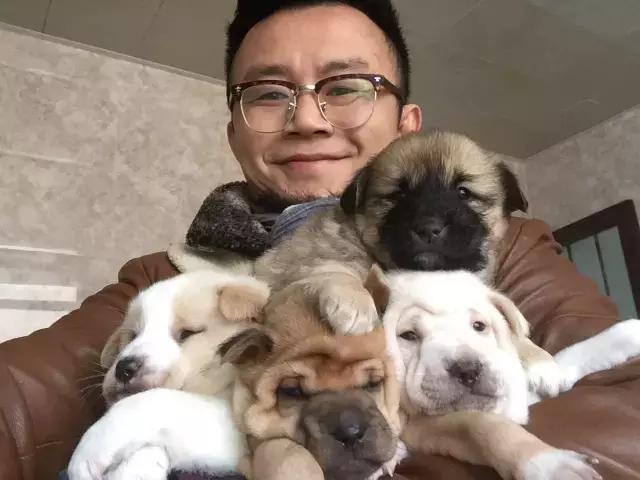 长沙宠物蜥蜴品种有哪些,别人家养的宠物蜥蜴食肉动物