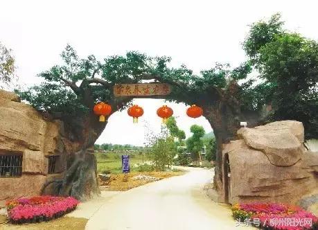 柳州附近农庄适合小孩玩,柳州周边农庄场地推荐