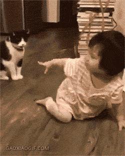 铲屎官半夜给猫咪抓鱼,和猫咪斗智斗勇铲屎官智商完胜