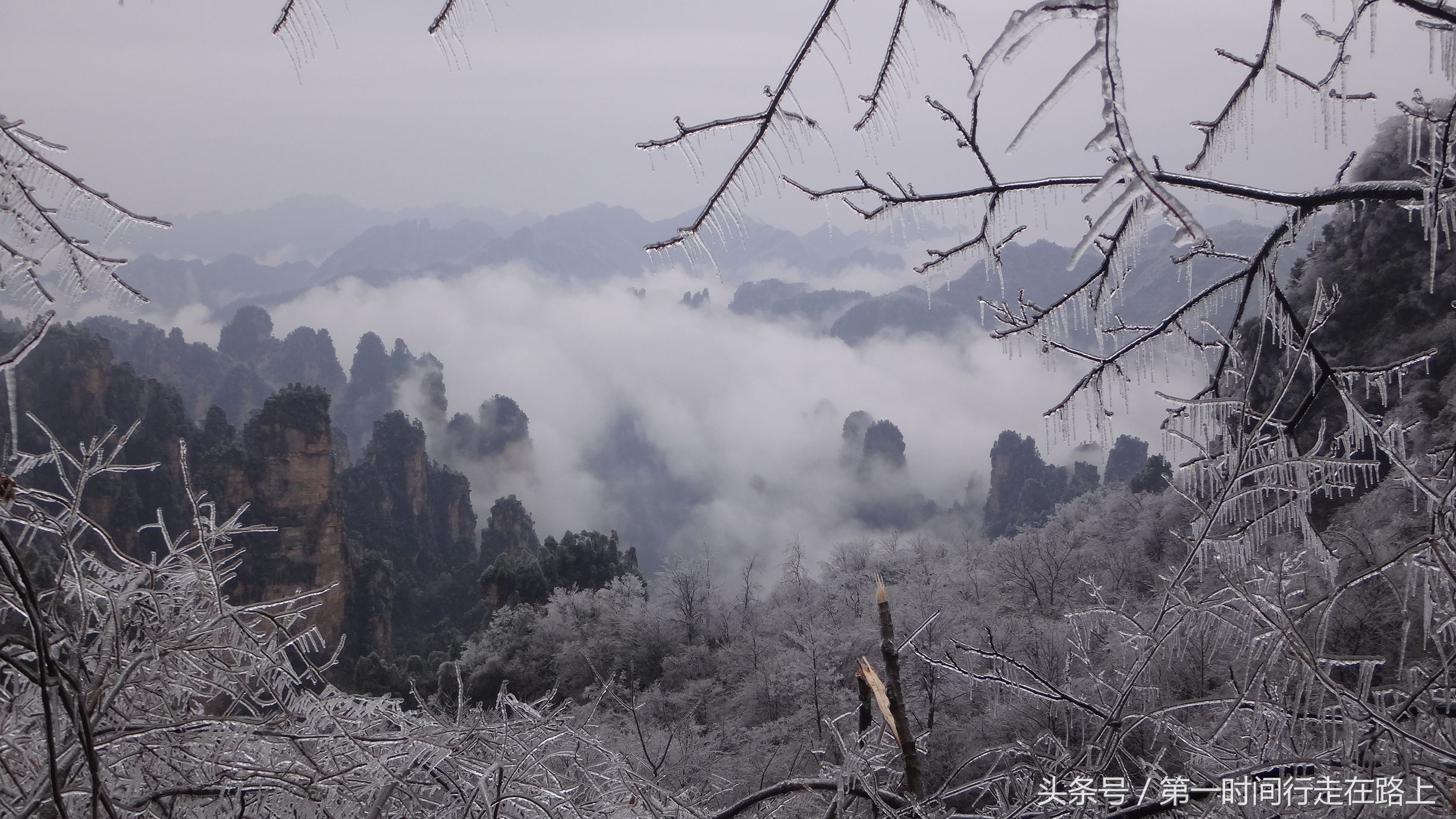 张家界浪漫之地,张家界最浪漫的婚纱