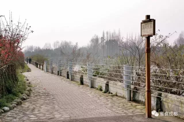 这里的春天最美丽歌词 (这里的春天最美丽)