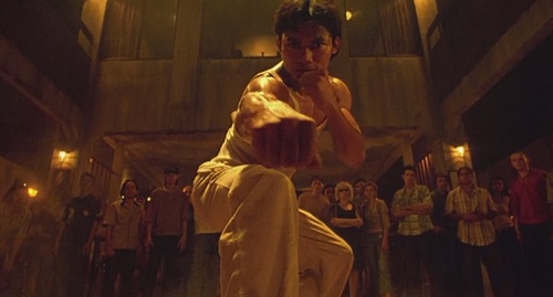 盘点近十年亚洲最燃最劲爆动作片，拳拳到肉，《拳霸》只排第三！