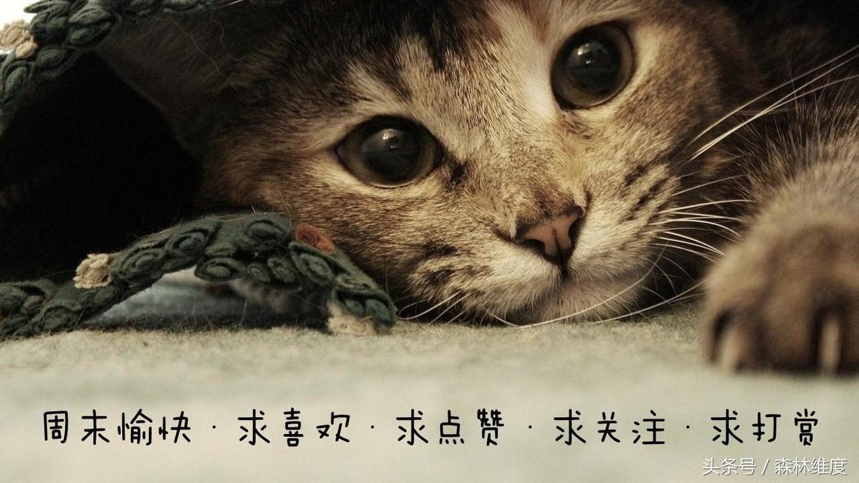 文案标题拟定的九种方法,十二种文案标题必备套路