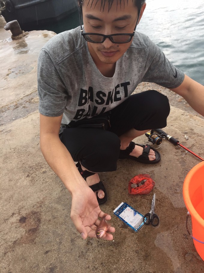 海南三亚旅游时光,海南三亚风景自由行