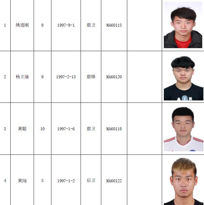 张玉宁林良铭,林良铭张玉宁最新消息