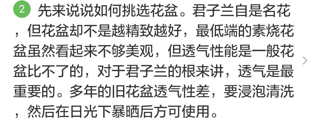 君子兰掉的小根能繁殖吗,君子兰繁殖不分盆好看吗