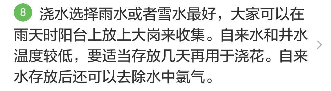 君子兰掉的小根能繁殖吗,君子兰繁殖不分盆好看吗