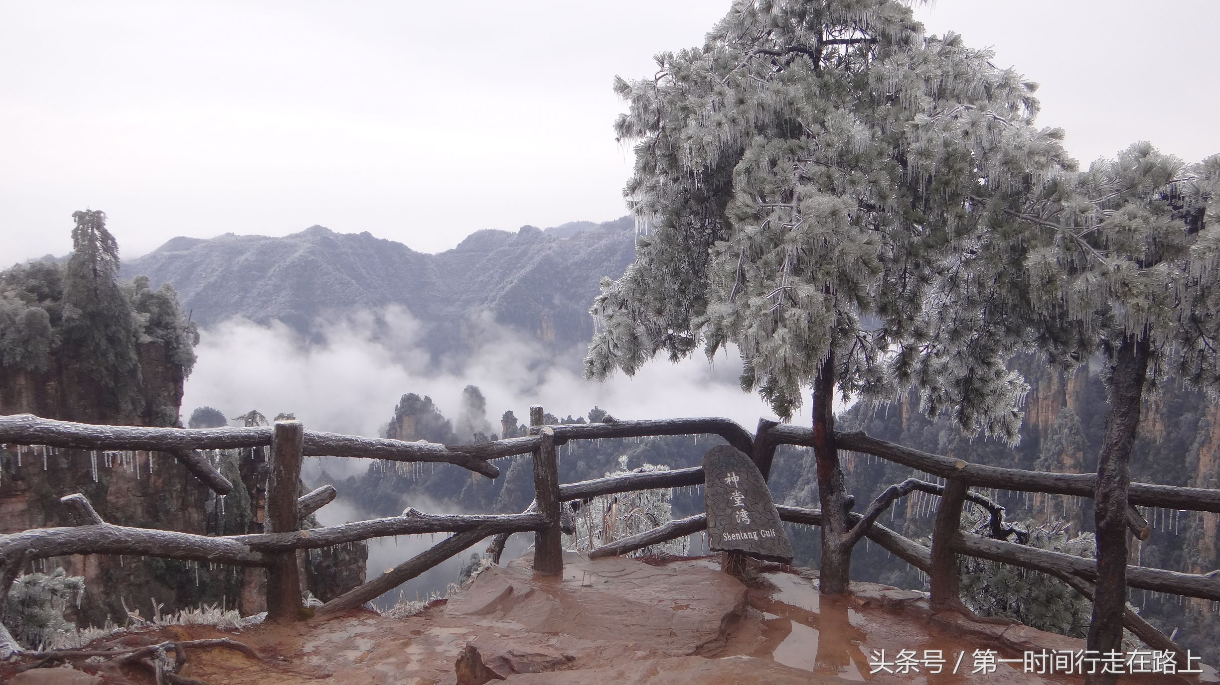 张家界浪漫之地,张家界最浪漫的婚纱