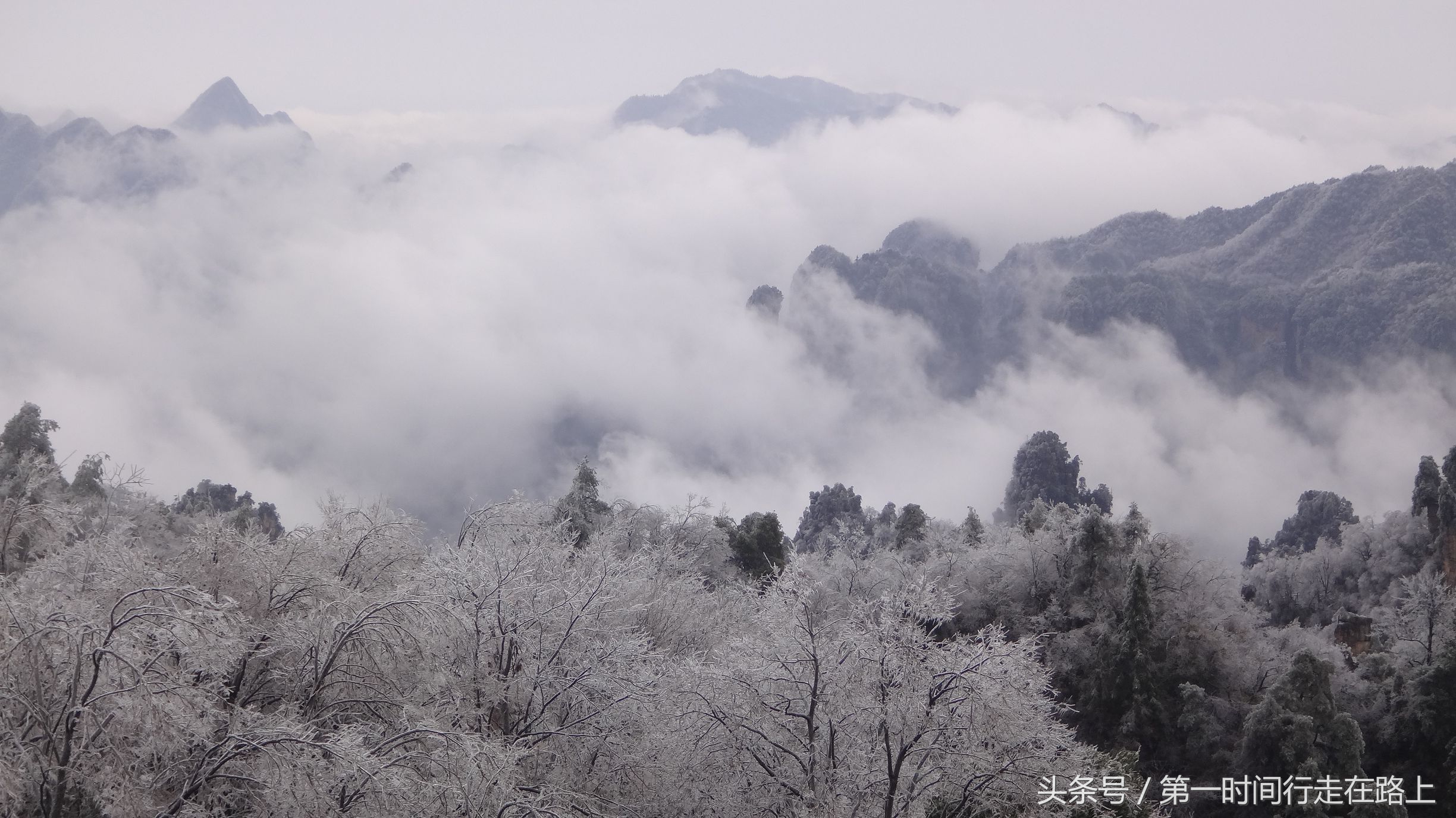 张家界浪漫之地,张家界最浪漫的婚纱
