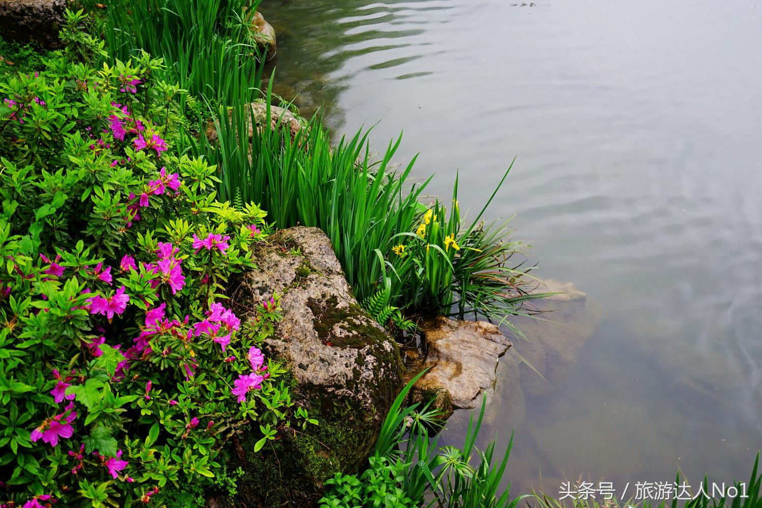 游记张家界8天旅游详细攻略,张家界天门山森林公园美景游记