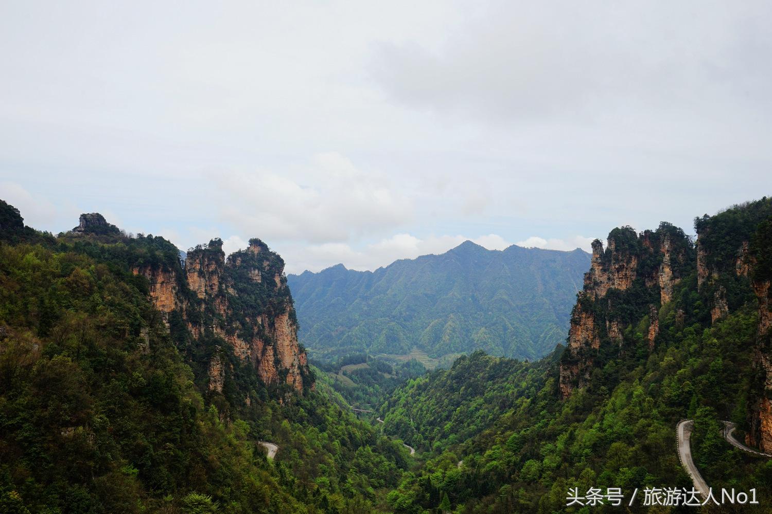 游记张家界8天旅游详细攻略,张家界天门山森林公园美景游记