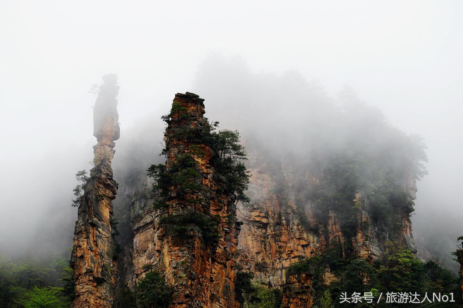 游记张家界8天旅游详细攻略,张家界天门山森林公园美景游记