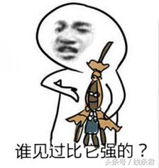 阴阳师百绘罗衣获奖作品一览,百绘罗衣海坊主花嫁图片