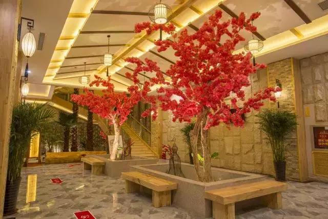 济南韩式汤泉,临沂最好的汤泉