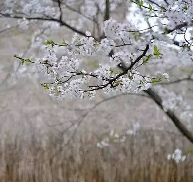 这份成语分类大全替孩子存下吧,成语分类积累整顿大全