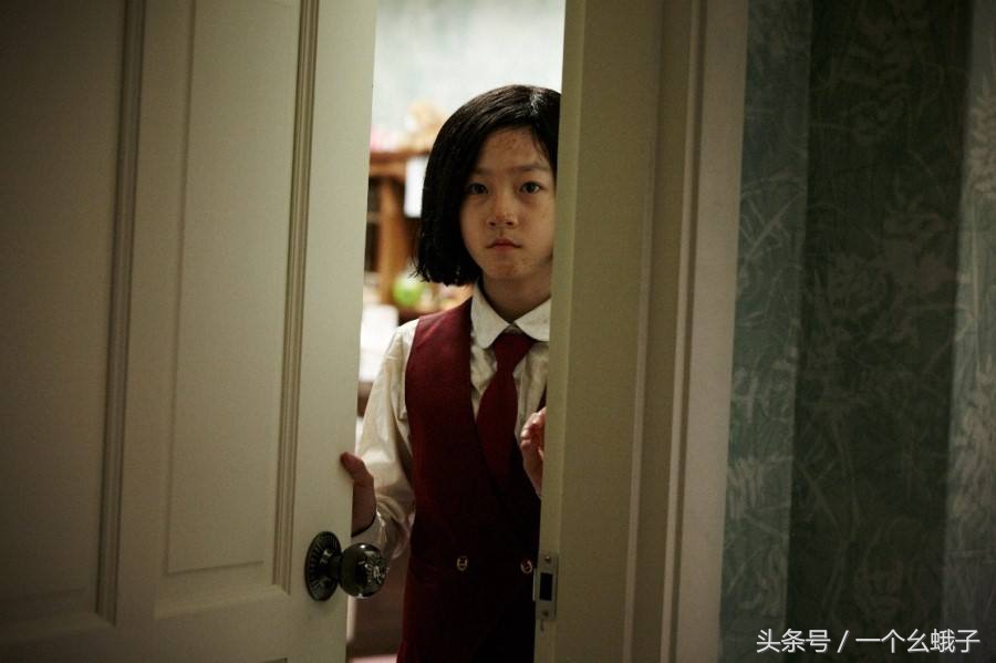 刺猬幼崽被狠心拔刺,小刺猬刚出生就被拔掉刺