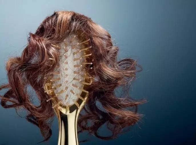 揭秘生姜生发是真的吗,熟姜生发还是生姜生发