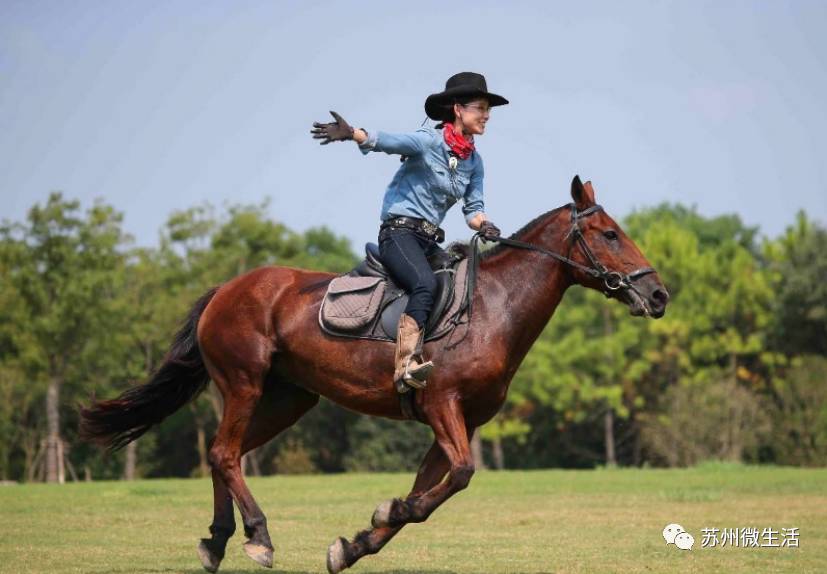 这个季节苏州有什么好玩的地方,目前苏州最好玩的地方是哪里