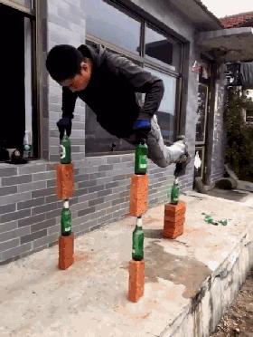 爆笑虫子和螳螂,螳螂昆虫搞笑视频