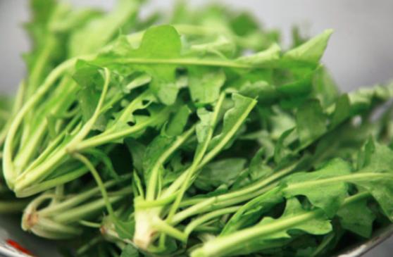 阳台种菜：药食同源科普之荠菜的那些事儿！