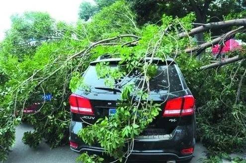 小知识六大毁车习惯请摒弃,用车知识六大毁车习惯请摒弃