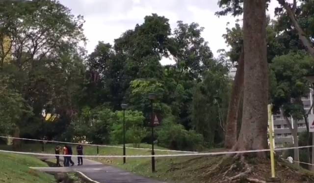 被野蜂蛰了半小时死亡,被野蜂蜇了7小时