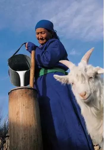 蒙古族的生活习惯和饮食习惯,了解蒙古族的风俗习惯和饮食习惯