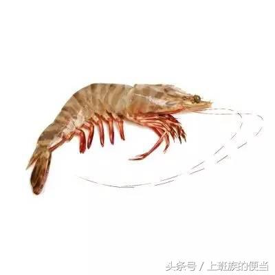 12种常见虾图解大全,给你科普一下虾的种类