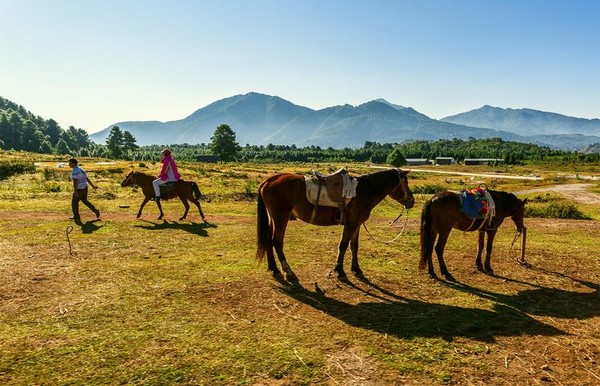 腾冲火山热海一分钟看景区,腾冲火山热海导览全景图
