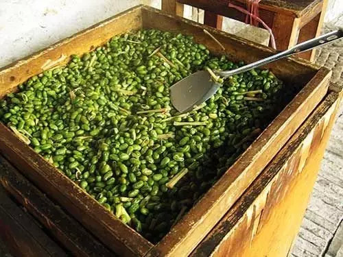 西塘景区有什么好吃的,浙江西塘附近有啥好吃的