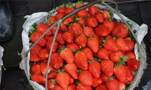 西塘景区有什么好吃的,浙江西塘附近有啥好吃的