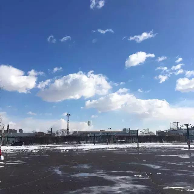 少女与猫咪,少女与猫唯美图片