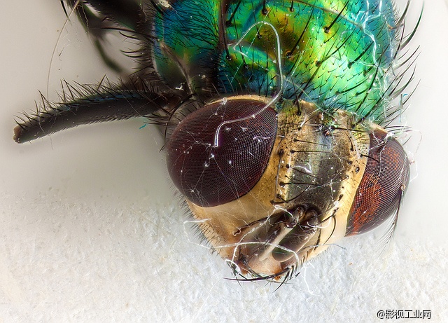 超级微距35倍,能用软件实现超级微距吗