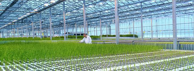 egf的护肤作用,egf成分的护肤品