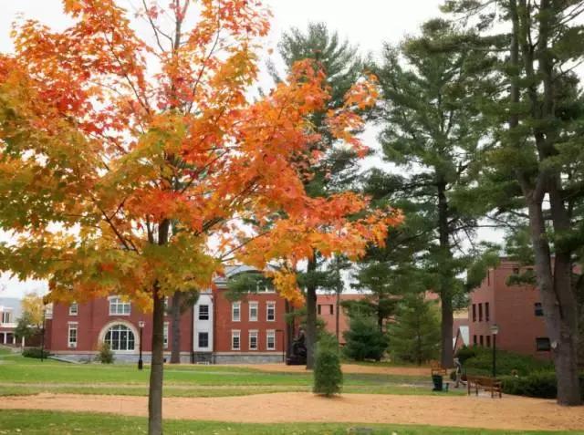 美国学费最贵前十位,美国费用最低的名校