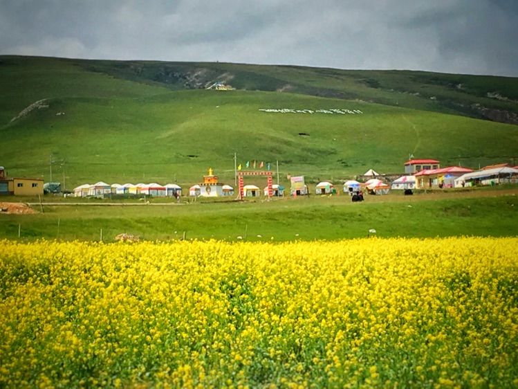 成都到青海湖最佳路线,成都去青海湖怎么去