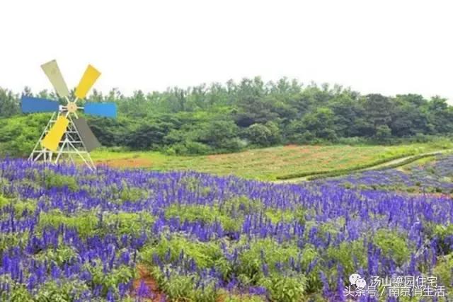 当爱情遇见彩礼你会怎么做,爱情和房子如何抉择