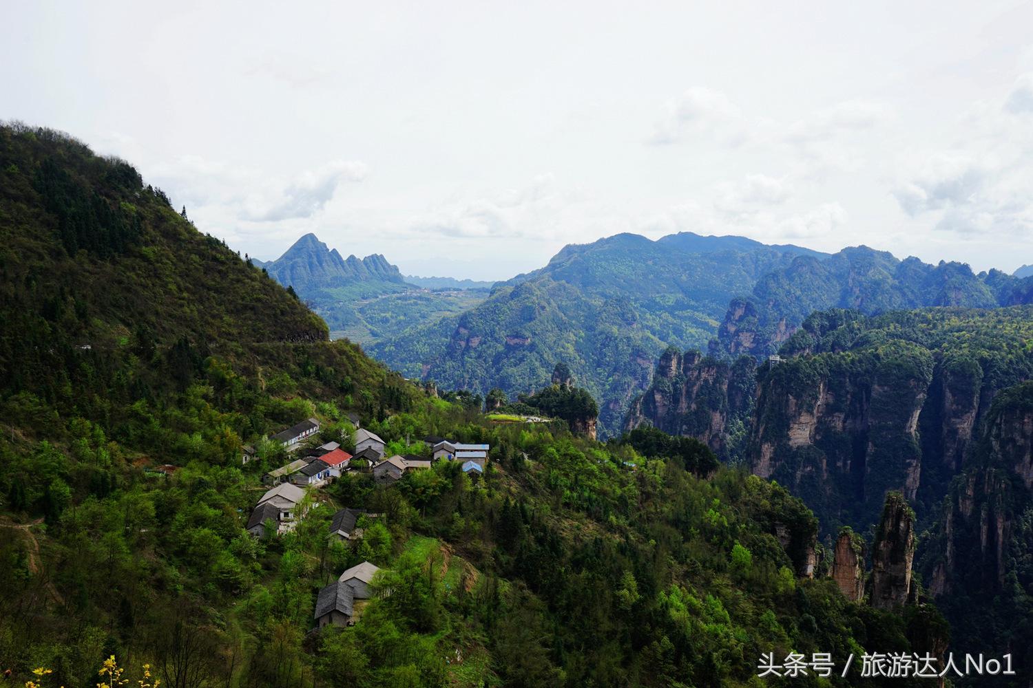 游记张家界8天旅游详细攻略,张家界天门山森林公园美景游记