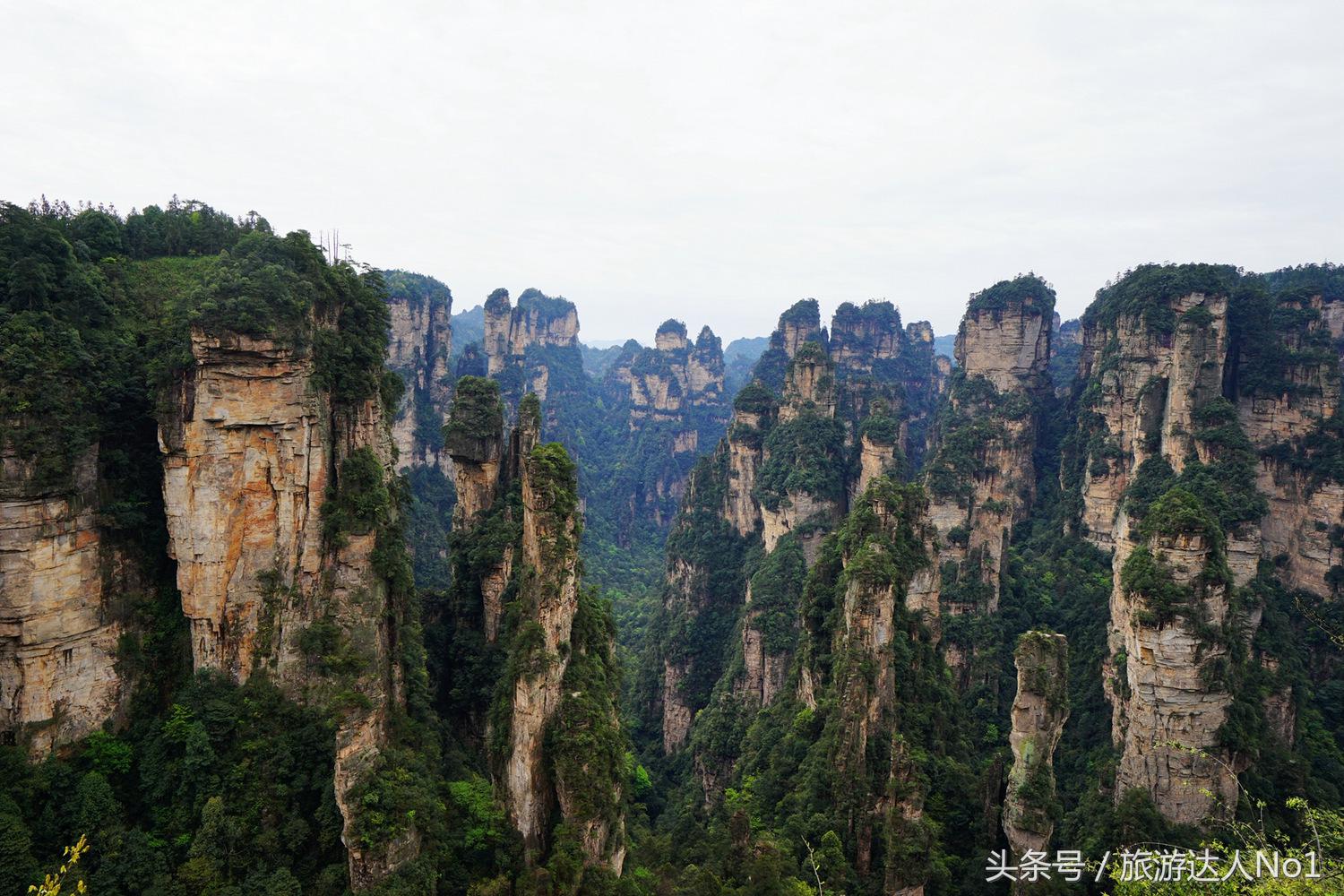 游记张家界8天旅游详细攻略,张家界天门山森林公园美景游记