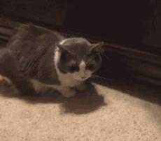 十条笑话：同事家境富裕，玩手游充了4万多