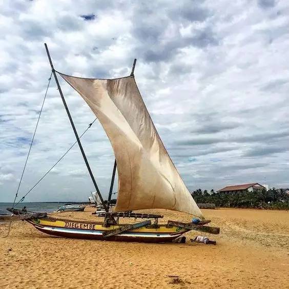 没在世界尽头划独木舟吃过最鲜的生虾刺身，怎好意思说你是海鲜爱好者