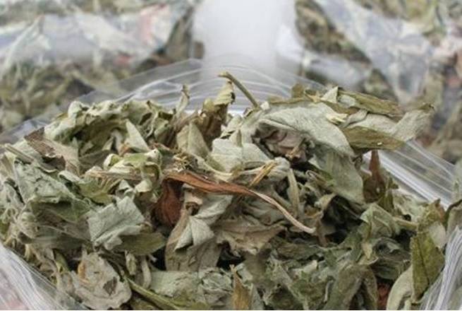 艾草床垫对身体健康有哪些好处,生姜加艾草泡脚对身体有哪些好处