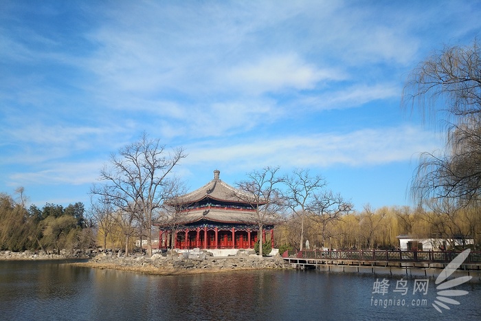 百诺便携相机三脚架评测,百诺三脚架if19对比mc19