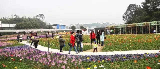 怡园花田官网,怡园花田特惠票