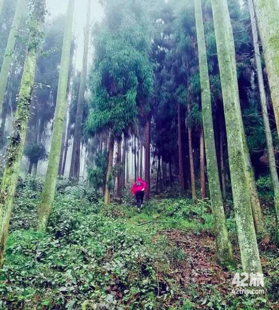 赛事推荐赛事,近期全国比赛报名