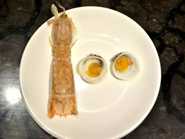 网红豪华坐骑皮皮虾，失踪后再现魔都竟然是在这里，带走它唯一的方法就是……