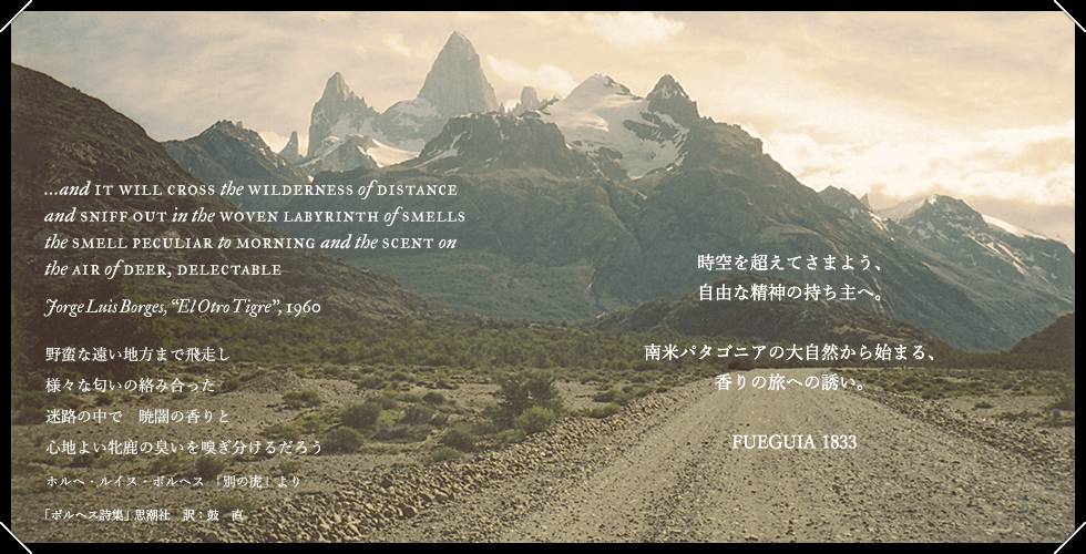 玉兰乌龙茶凤梨酥,乌龙茶凤梨酥