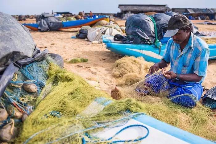 没在世界尽头划独木舟吃过最鲜的生虾刺身，怎好意思说你是海鲜爱好者