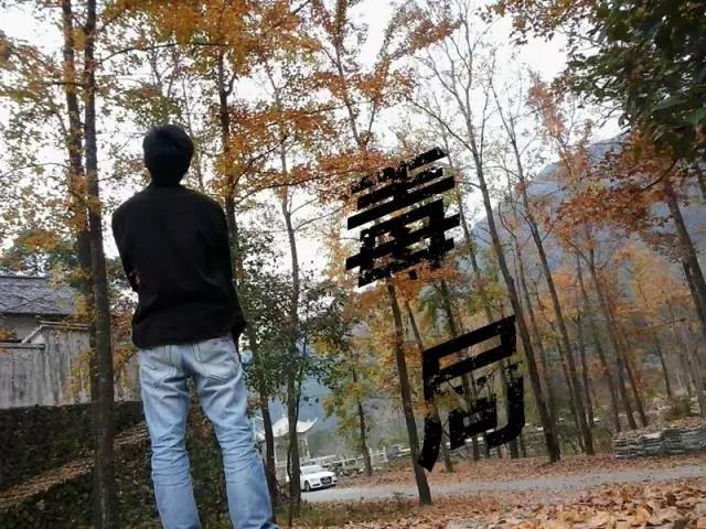 连载悬疑小说第二季,连载原创小说第二章