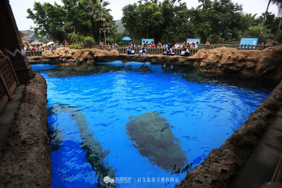 海底两万里海底旅游图,美丽的海底世界珠海长隆海洋王国